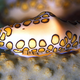 Illustration for article titled This Colorful Snail Is Disappearing Because of Over-Fishing and Shell Collectors